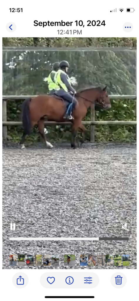 Broom Copse Lockdown Online Kopen