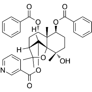 Regelidine Kopen – Zuivere Onderzoekskwaliteit