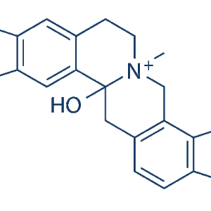 Kopen Hydroprotopine - Onderzoekskwaliteit (Hoge Zuiverheid)