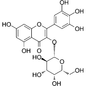 Myricetine 3-O-galactoside Kopen - Hoge Zuiverheid Te Koop
