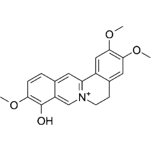 Kopen Palmaturbine -Zuiver (te koop|hoge kwaliteit)