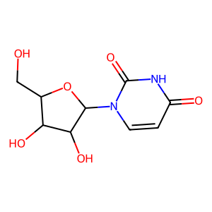 L-Uridine Kopen - Zuiver (Onderzoek | Topkwaliteit)