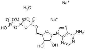 Verkrijg ATP Dinatriumzout - Hoge Kwaliteit