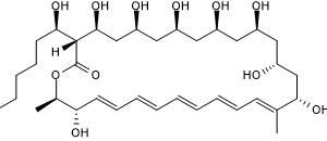 Filipin III Online Kopen - Zuiver (te koop|hoge kwaliteit)
