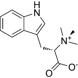 Hypaphorine Online Kopen