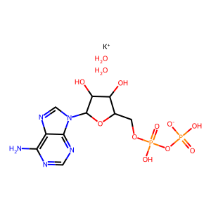 Kopen Adenosine 5'-difosfaat - Hoge Zuiverheid Te Koop