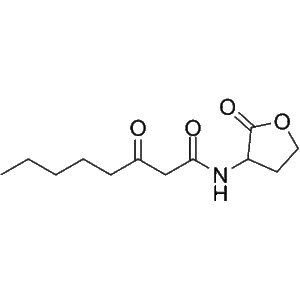 N-(3-Oxooctanoyl)-DL-homoserine lactone Kopen - Onderzoekskwaliteit