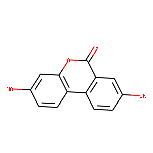 Urolithin A Kopen - Hoge Zuiverheid