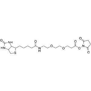 Kopen Biotine-PEG2-NHS ester - Reagens (hoge kwaliteit)